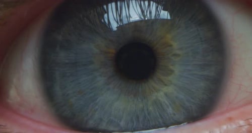 Slow motion macro close up of male blue eye is looking and blinking in camera.