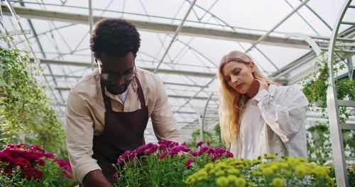 Man Explains Flowers to Woman in Greenhouse