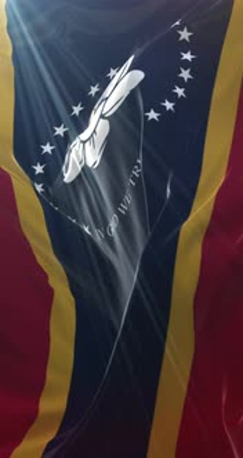 Realistic Waving Mississippi State Flag Video
