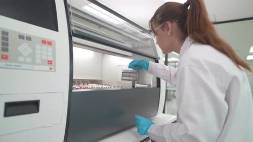 Young Woman Examines Test Tubes in a Lab
