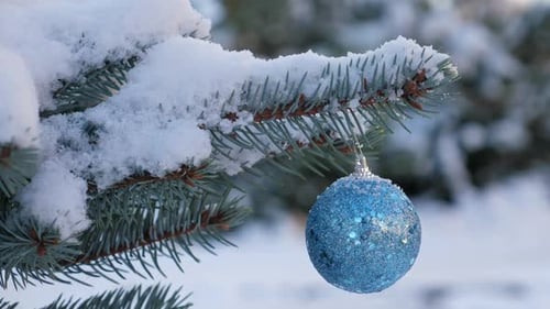 Blue New Year Ball on Snowy Pine Tree Branch with Snow Christmas Decoration Outdoors