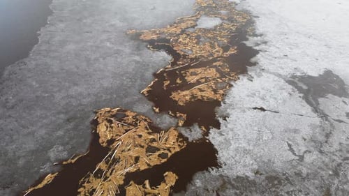Aerial over driftwood stuck surrounded ice frozen lake water day