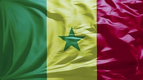 National Flag of Senegal Realistic Fabric Waving Loop