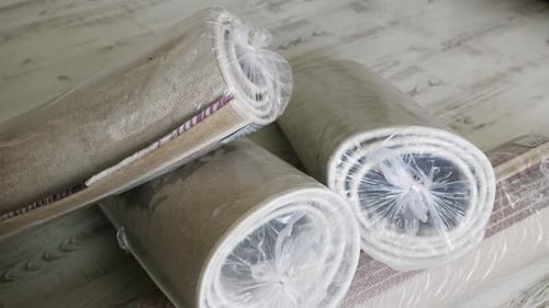 Concept of Professionally Cleaning Carpets