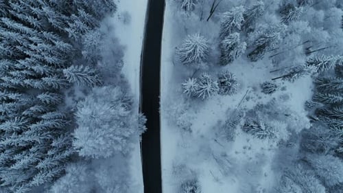 Vue aérienne épique Cinématographique de Snowy Winter Forest Road