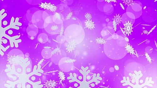 Deep Pink Winter Snowflake Background Loop V4