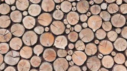 Antecedentes de cortes redondos de madera seca