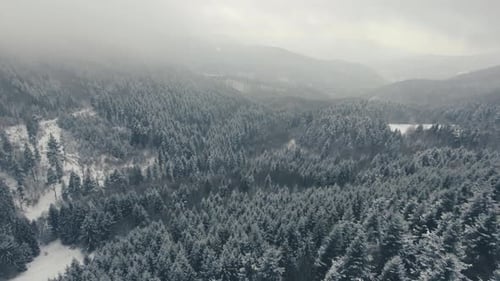 Atemberaubende Luftaufnahme eines schneebedeckten Nadelwaldes im Wintersonnenlicht