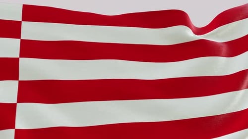 Realistic Waving Flag Animation with Red and White Checkerboard