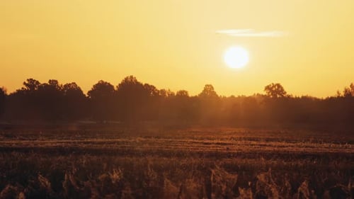 Autumn Sunrise Radiant Sun Ascends Over Field and Forest