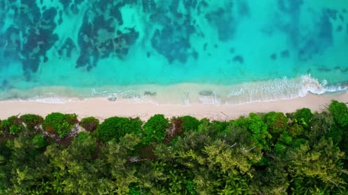 Top down aerial drone shot of tropical beach. Calm vibrant turquoise ocean. Waves crashing on the em