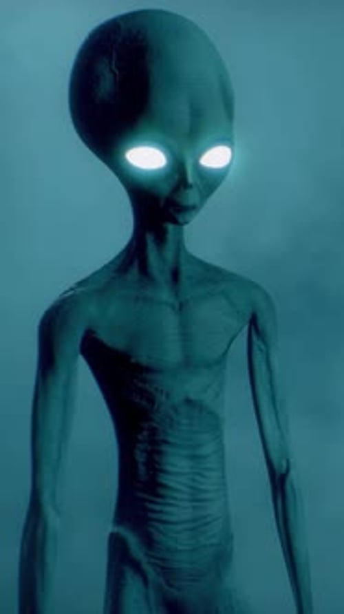 Scary Gray Aliens Walk and Look Blinking on a