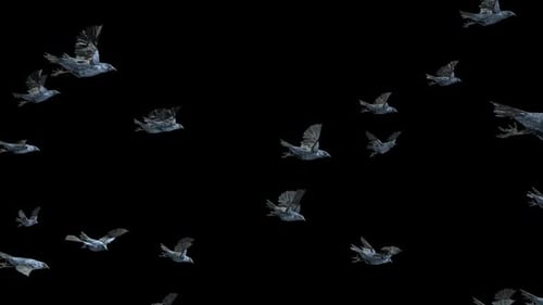 18 cuervos, pájaros, murciélagos, volando en HD