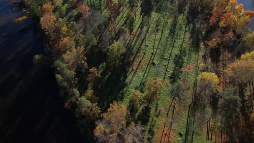 Aerial view of colorful autumn foliage and long shadows by the lake