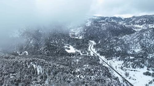 Cinematic Aerial Snowfall Over Road in Dense Snow Covered Pine Trees