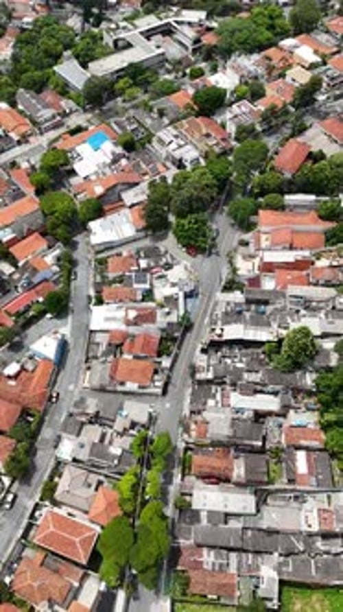 Vídeo aéreo acima do Parque Ibirapuera São Paulo em um dia ensolarado