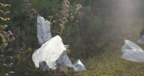Las bolsas de plástico de los envases se encuentran esparcidas por el prado, y más caen desde arriba. Almohadas de aire para correos