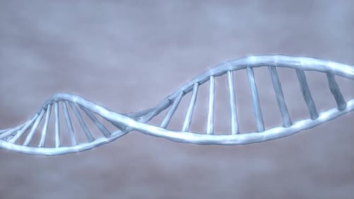 Close-Up of DNA Double Helix Structure