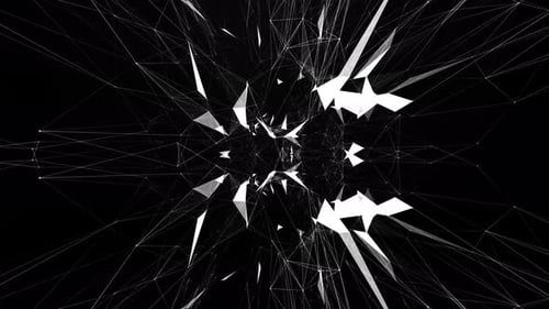 Digital Network .Plexus White Background