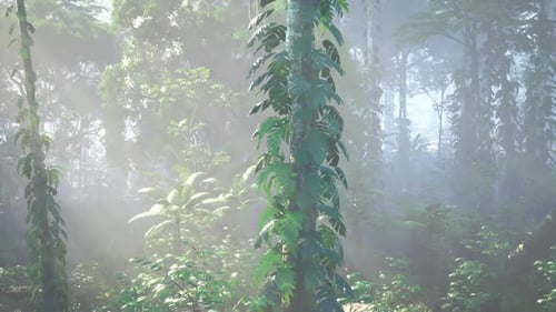 Dense Green Forest With Abundant Trees