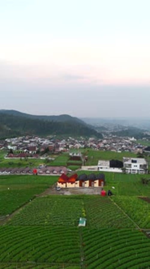 Aerial view of luxury glamping tents surrounded by lush vegetable terrace fields
