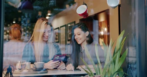 Merry Girlfriends Chatting in Cafe