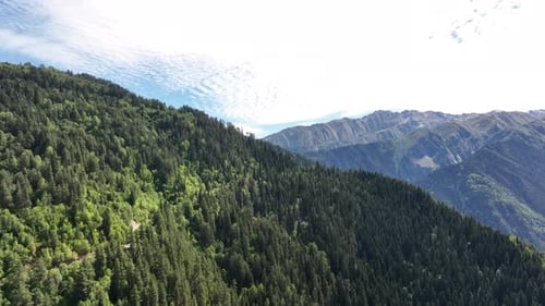 Flight over the forest and mountains in the region of Svaneti, Georgia