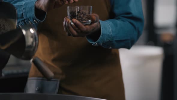Coffee Factory Inspection Multiethnic Caucasian African Men Two Males ...