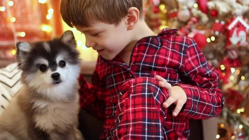 Young Boy with Puppy by Christmas Tree