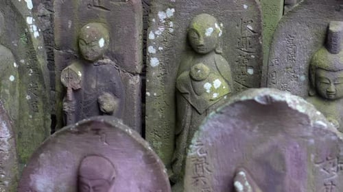 Near the Shakujii Park in Tokyo, there is a temple that has many ancient Buddhas with different shap