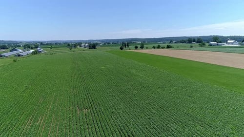 Explore the beautiful landscape of lush green fields stretching across the countryside on a sunny da