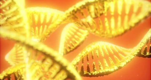 Golden Dna Strands Shining Brightly Against a Vivid Red Backdrop