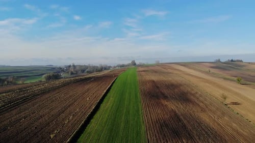 Aerial View of Brown and Green Fields
