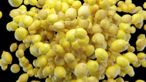 Dynamic Falling Lemons with Alpha Channel