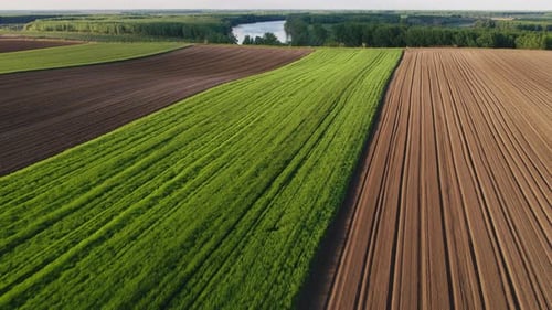 Flight over agricultural arable land fields