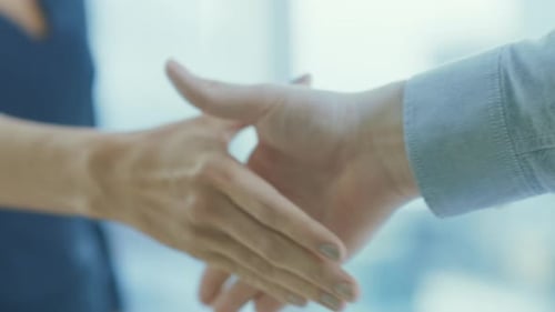 Professional Handshake Concluding Successful Meeting in Office