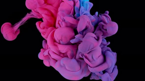Pink and Blue Ink Swirling Abstractly on Black