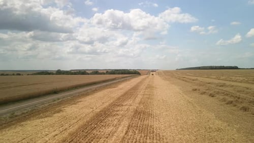 Wheat field aerial view in Ukraine