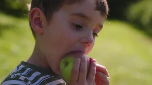 Boy Eating an Apple Outside in Sunlight