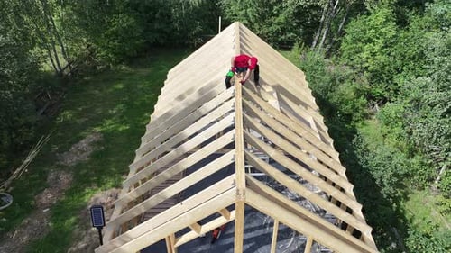 Builders Construct a Wooden Roof Framework in a Serene Wooded Area During Summer