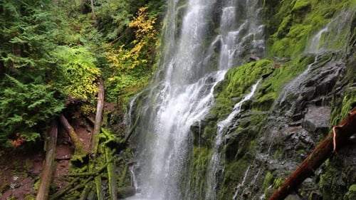 Proxy Falls in Oregon, USA