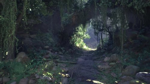 Secluded Tunnel Beneath Dense Leaves Guides Explorers Outdoors