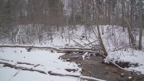 Creek in a Forest with Falling Snow and Fallen Trees on a River