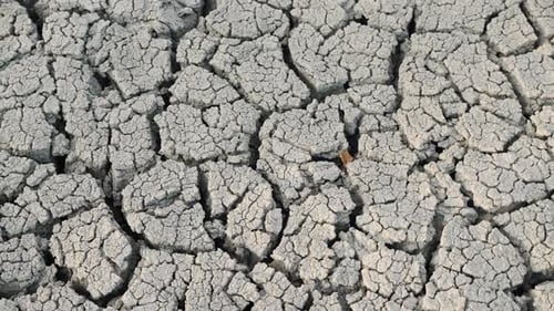 Cracked Dry Earth in a Barren Landscape
