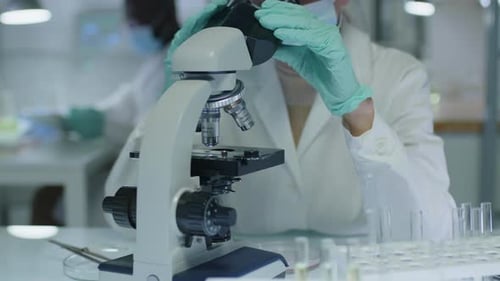 Female Scientist Looking through Microscope in Lab