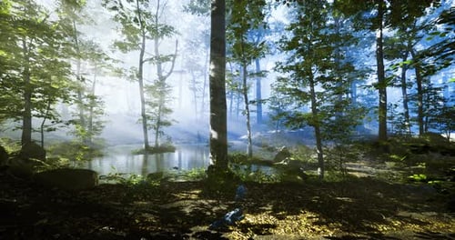 Misty Forest Embraces Tranquil Pond Under Soft Morning Light