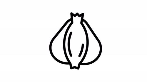 garlic line icon animation