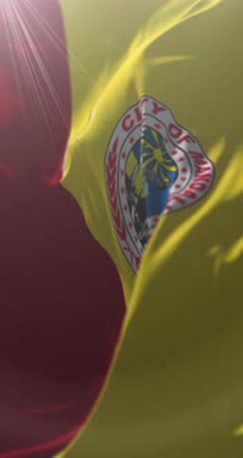 Vertical Waving Flag of Mandaluyong City with Sunflare