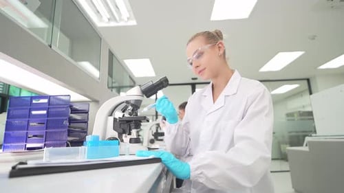 Female Scientist Working with Microscope in Laboratory