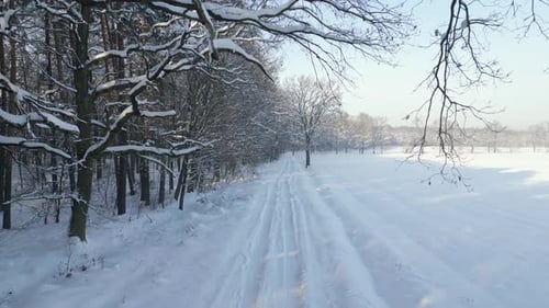 Aerial View of a Snowcovered Road in a Winter Forest